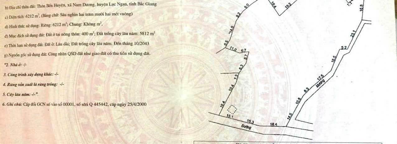 Đất nền rộng 6.212m² tại Nam Dương, Lục Ngạn - Giá chỉ 6.212 triệu!