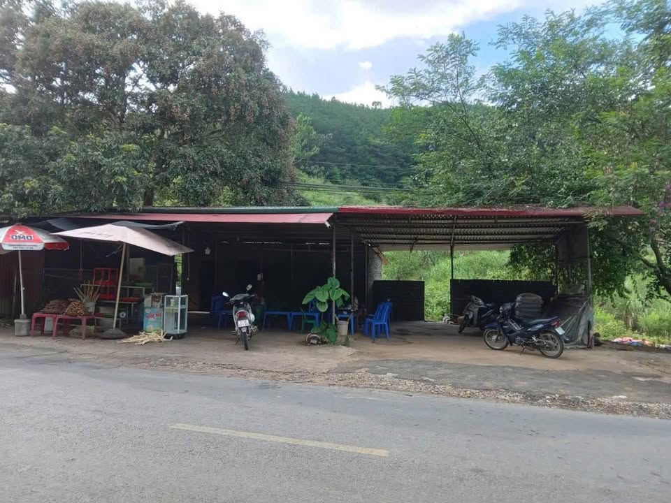 Đất nền Quốc Lộ Văn Chấn 32,714.8m² - Vị trí đắc địa, đầu tư sinh lời!