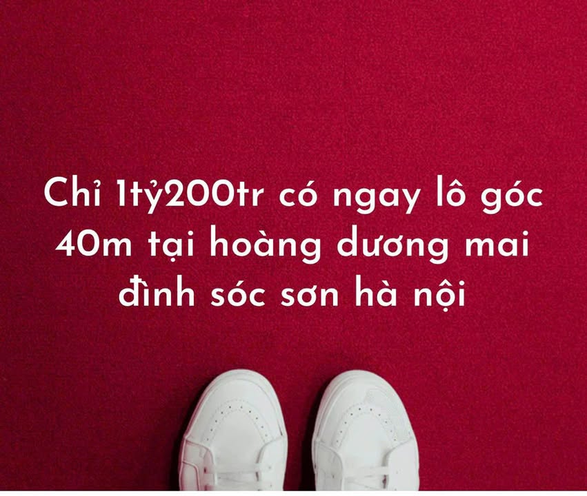 Đất nền lô góc 40m² tại Mai Đình, Sóc Sơn chỉ 1.2 tỷ - Đầu tư sinh lời ngay!