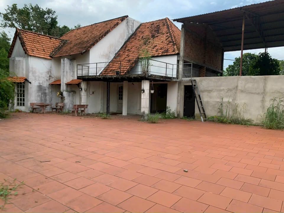 Đất mặt tiền đường nhựa Phú Hòa Đông, Củ Chi 1845m² giá 8 tỷ - Tiềm năng lớn cho biệt thự vườn!