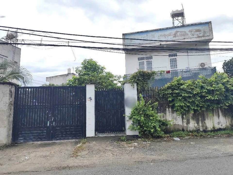 Đất mặt tiền 12m Tân Hiệp, Hóc Môn 145m² giá 4.55 tỷ - Kinh doanh sinh lời ngay!