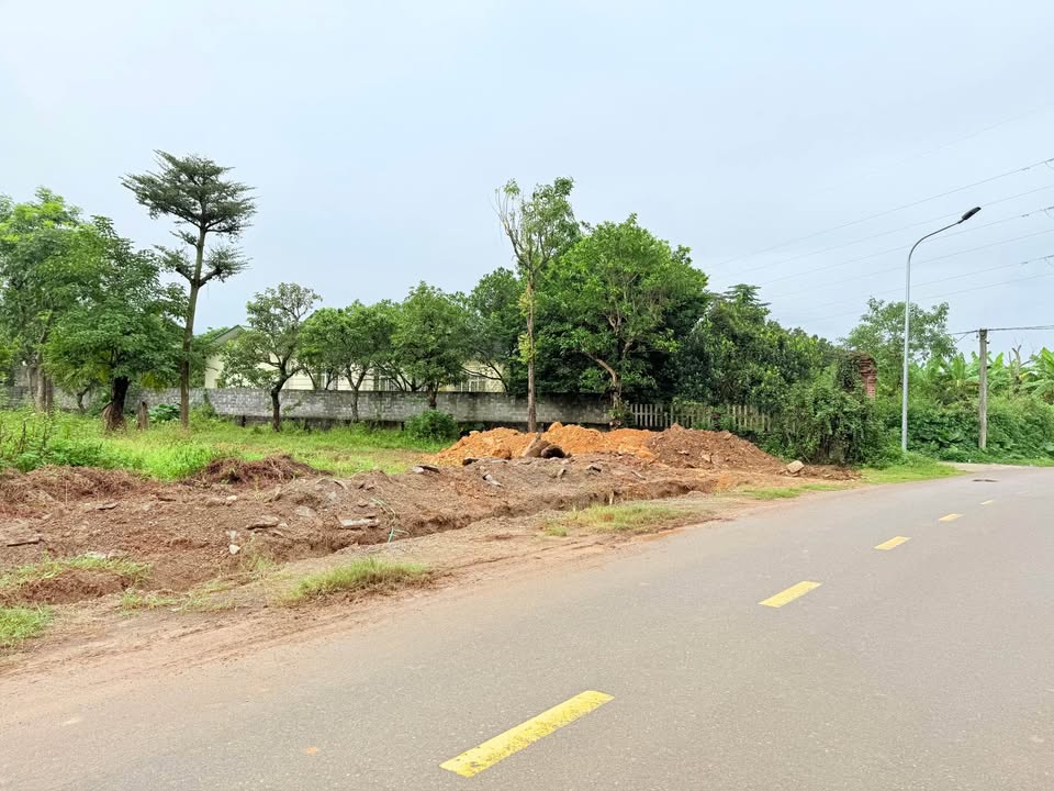 Đất Nhuận Trạch Lương Sơn 514m² giá thỏa thuận - Vị trí đắc địa gần trung tâm