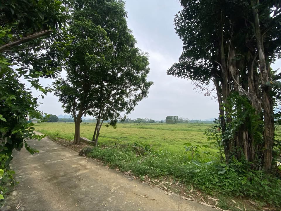 Đất thổ cư 100m² tại Cư Yên, Lương Sơn 670m² giá chỉ 4 tỷ - Cơ hội đầu tư tuyệt vời!