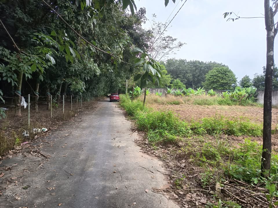 Đất thổ cư Đồng Tiến 200m² giá 279 triệu - Sổ hồng chính chủ!