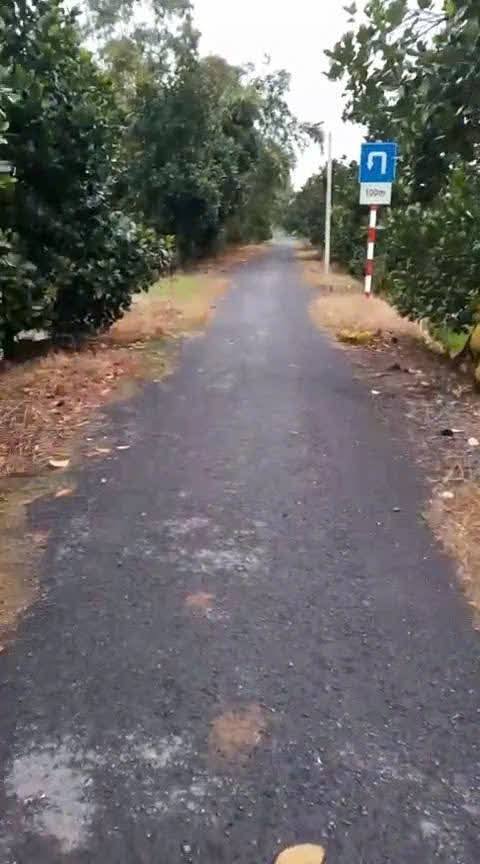 Đất ruộng 15 công mặt tiền 90m tại Láng Biển, Cái Bè - Giá chỉ 6 tỷ VND!