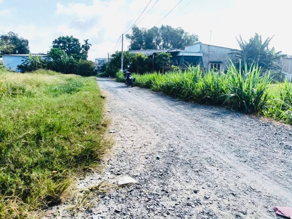 Đất thổ cư 494m² đường Nguyễn Thị Cẩm, Củ Chi - Giá 2.75 tỷ, cơ hội đầu tư tuyệt vời!
