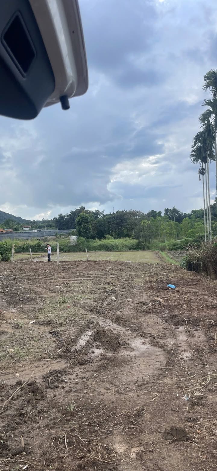 Đất nền Hòa Thắng Buôn Ma Thuột 493m² giá 3.95 tỷ - Đầu tư lý tưởng với view ruộng đẹp!