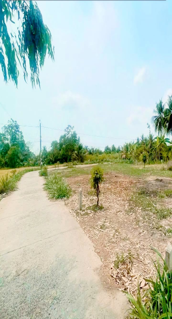 Đất nền Bình Xuân Gò Công 103m² giá 250 triệu - Sổ hồng chính chủ!