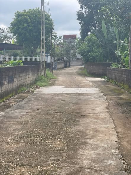 Đất nền Nghĩa Bình, Nghĩa Đàn 189m² giá 600 triệu - Cơ hội đầu tư hấp dẫn!