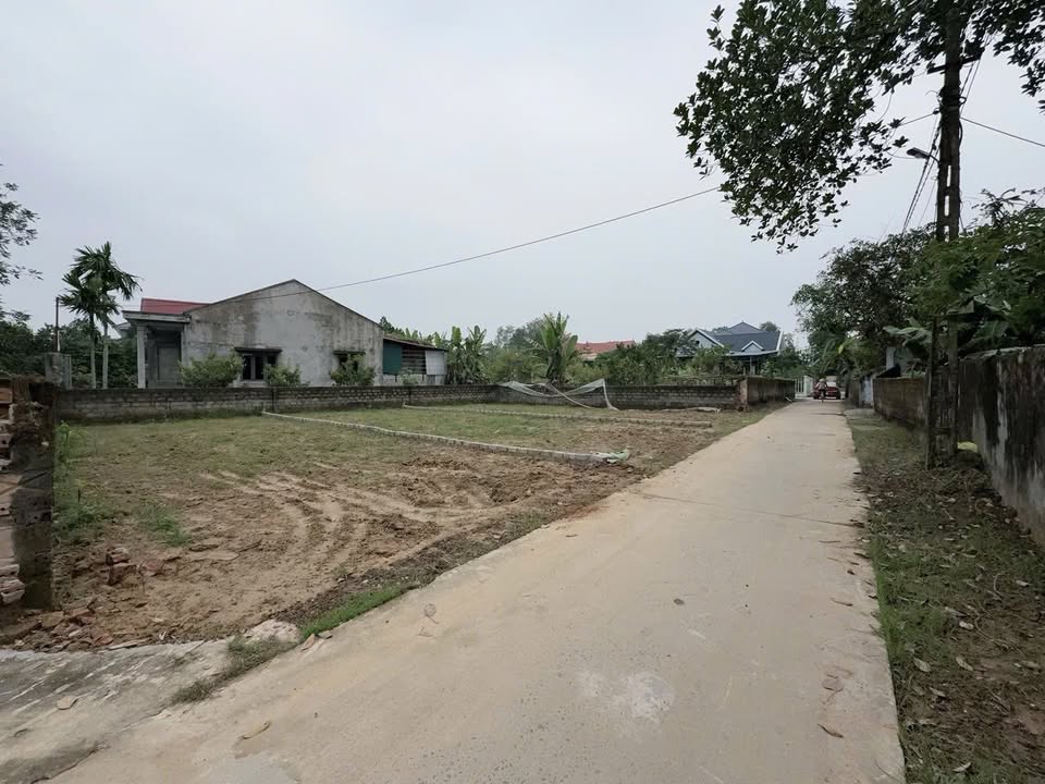 Đất nền Thọ Phú 111m² giá chỉ 300 triệu - Vị trí đắc địa với 2 mặt tiền