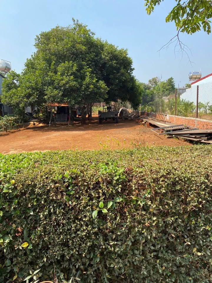 Đất thổ cư Nguyễn Thị Định Buôn Ma Thuột 636m² giá 3 tỷ - Hẻm ô tô thông thoáng!
