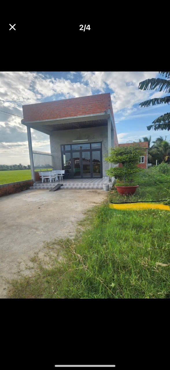 Nhà cấp 4 179.4m² xã Đức Tân, Tân Trụ - Giá chỉ 700 triệu - Đường bê tông xe hơi vào tận nơi!