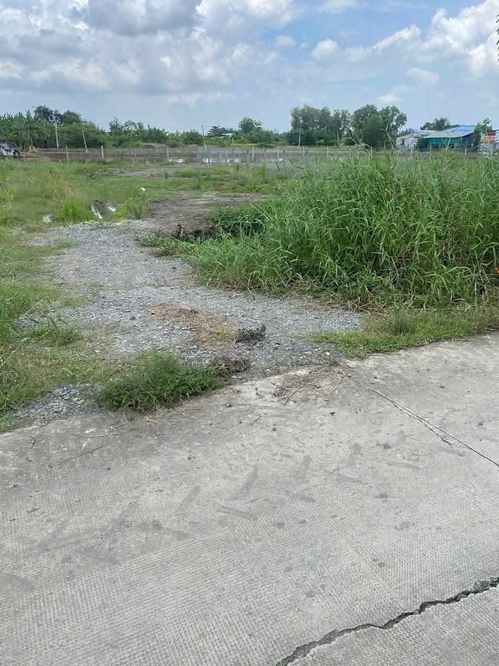 Đất nền Mỹ Lộc, Cần Giuộc 30m² giá 870 triệu - Đầu tư sinh lời ngay!