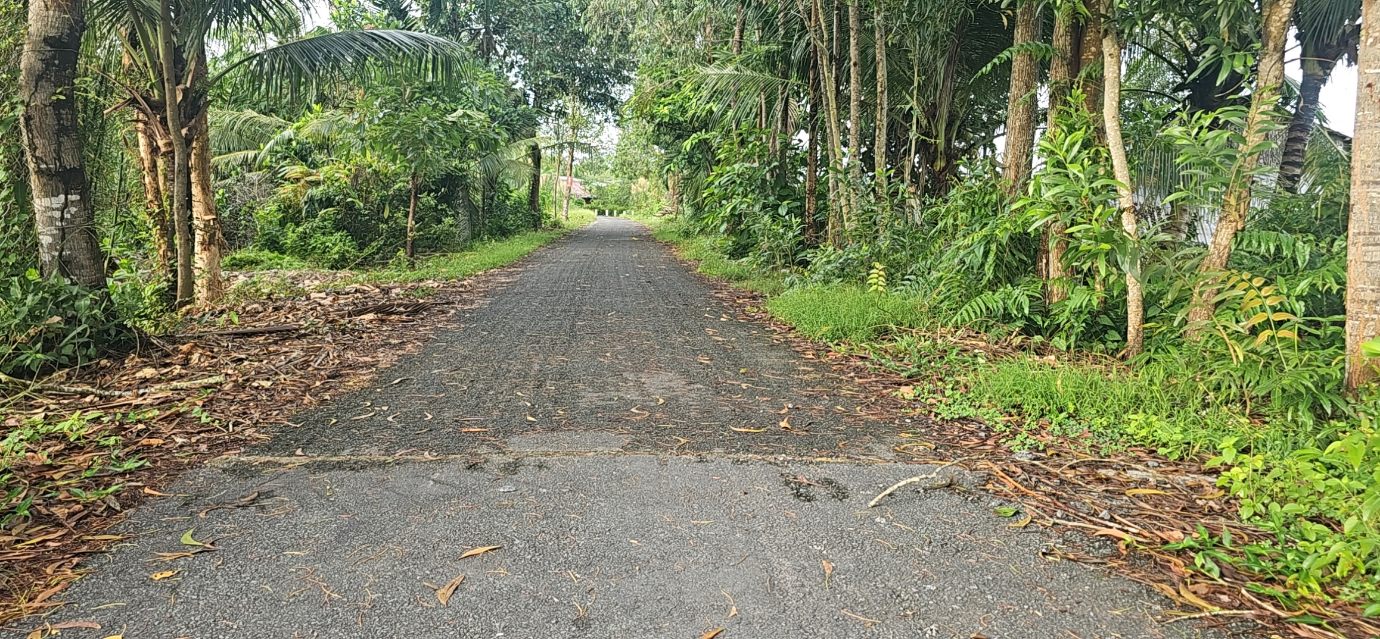 Đất vườn 4000m² tại Thạnh Xuân, Hoả Tiến, giá chỉ 720 triệu - Đầu tư sinh lời ngay!