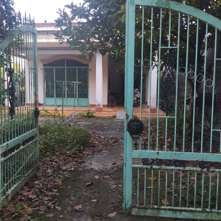 Đất nền Củ Chi 319m² giá 3.8 tỷ - Sổ hồng chính chủ, sẵn sàng xây dựng!