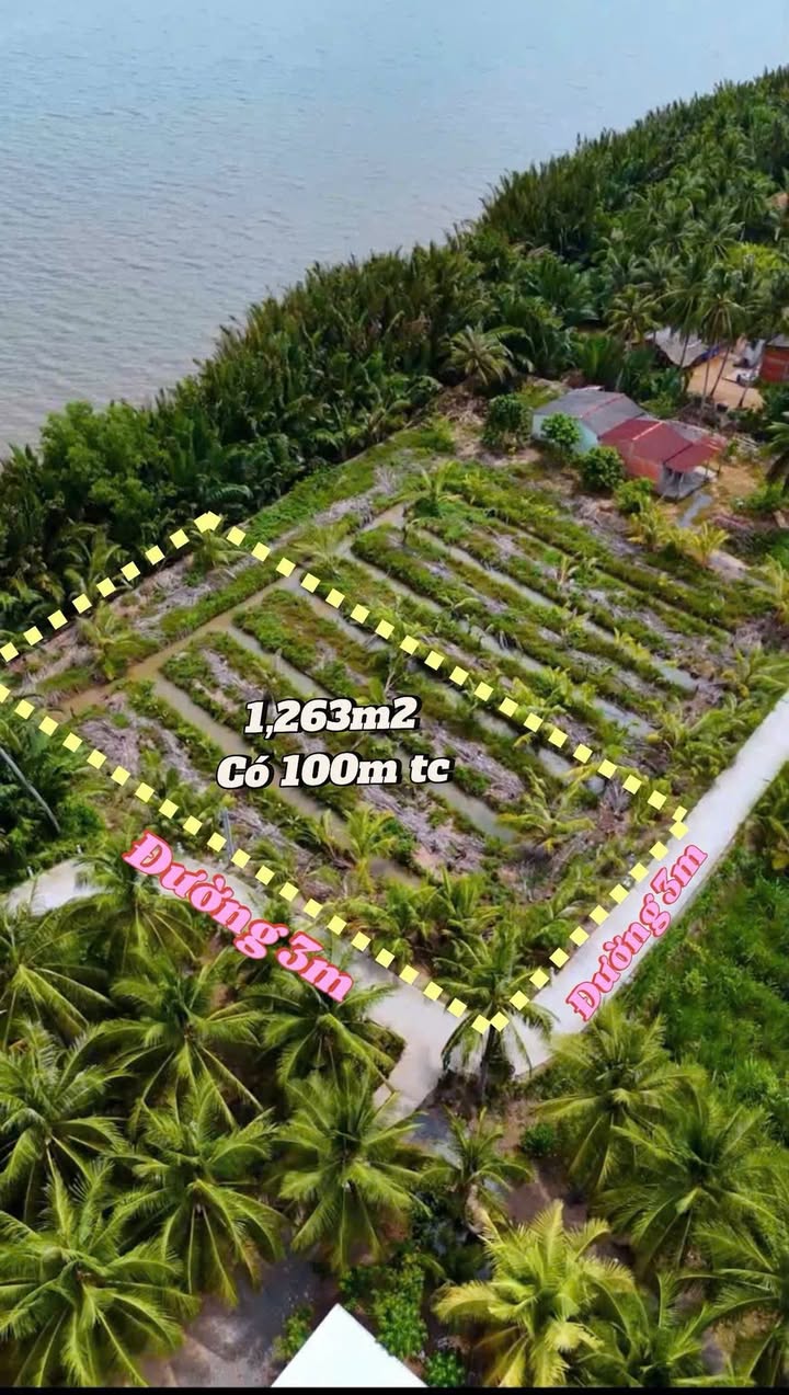 Đất mặt tiền sông Tân Thạnh 1263m² giá chỉ 799 triệu - Cơ hội đầu tư tuyệt vời!