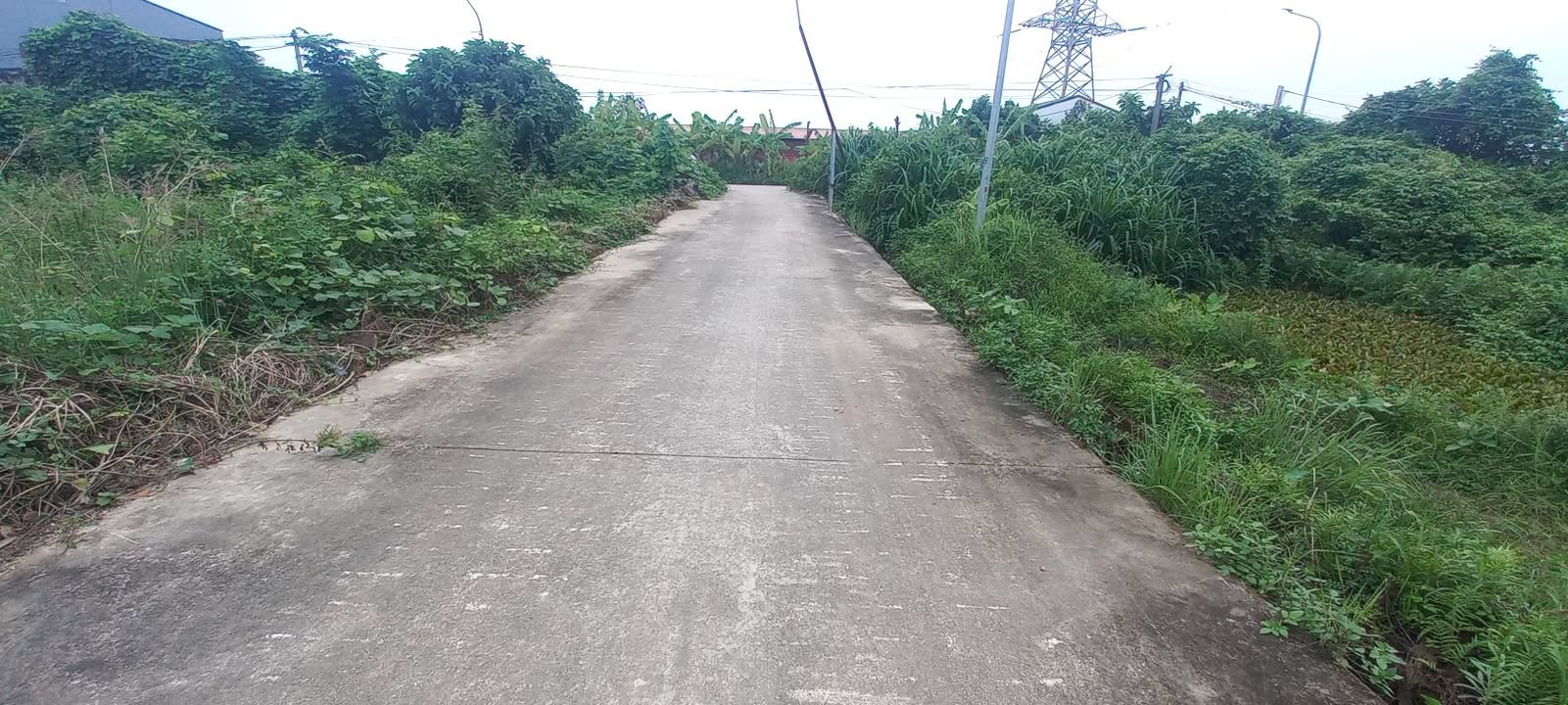 Đất thổ cư Lạc Xá, Quế Võ 82m² giá chỉ 1.XXXX tỷ - Vị trí đắc địa gần KCN Quế Võ 3!