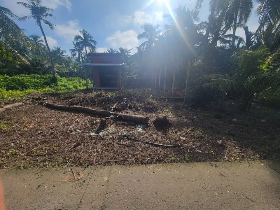 Đất nền 850m² xã Minh Đức Mỏ Cày Nam chỉ 700 triệu - Cơ hội đầu tư tuyệt vời!