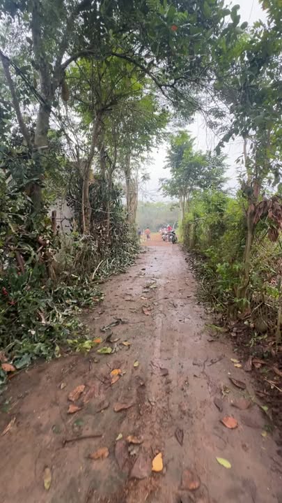 Đất nền 2 mặt tiền đường bê tông Xã Sông Thao Trảng Bom, 1777m² chỉ 1.45 tỷ - Đầu tư sinh lời ngay!