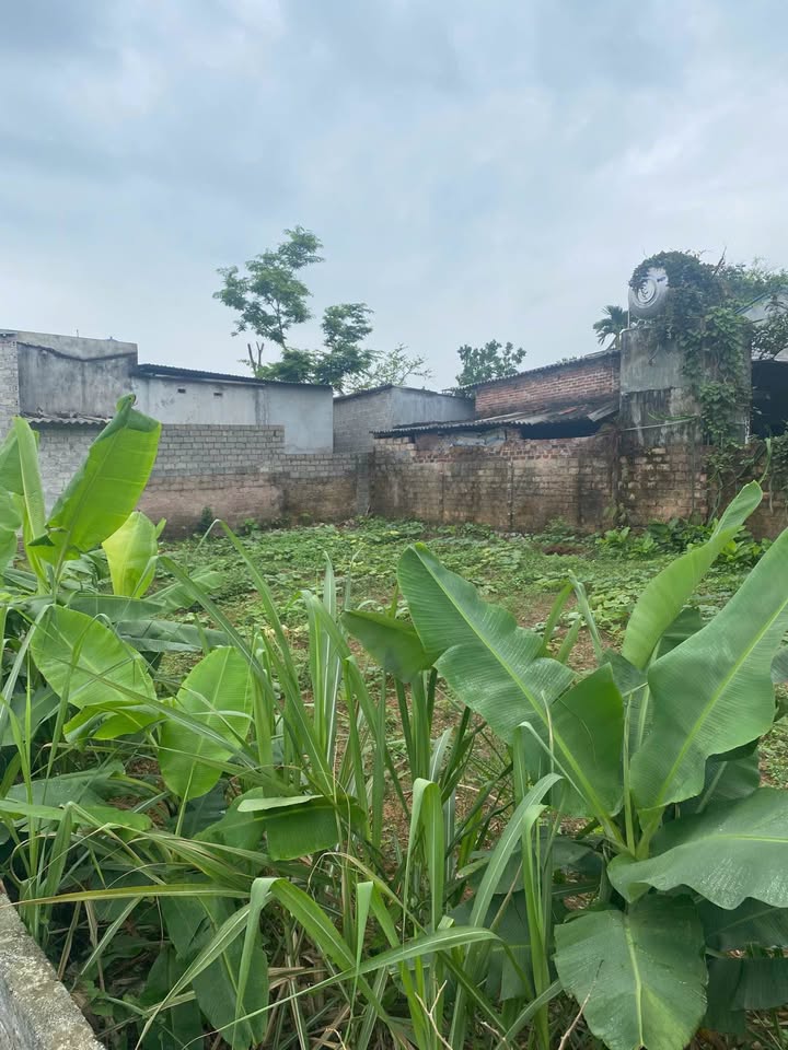 Đất thổ cư 343m² tại Thủy Xuân Tiên, Chương Mỹ - Giá chỉ 3.773 tỷ