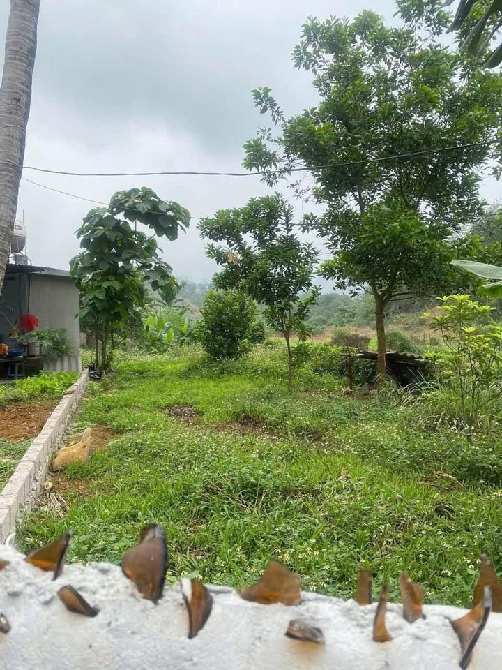 Đất thổ cư 216,5m² tại xã Cao Dương, Lương Sơn, Hòa Bình - Giá chỉ 1 tỷ!