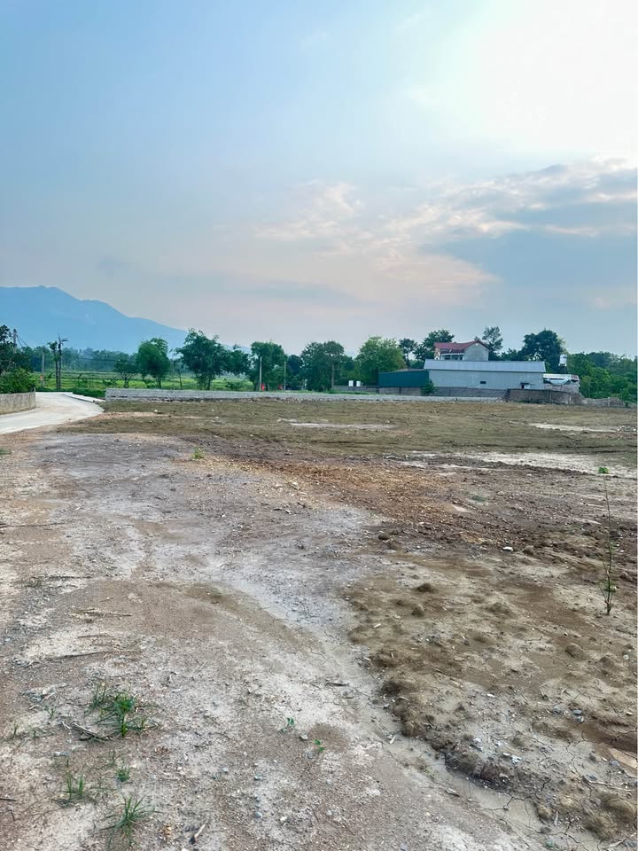 Đất Nền Lô Góc Nhuận Trạch Lương Sơn 206m² - Đầu Tư Sinh Lời Hấp Dẫn!