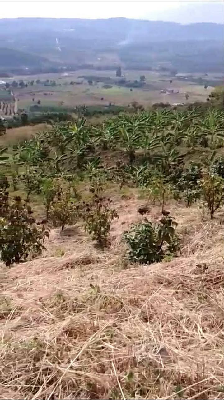 Đất nền Đan Phượng Lâm Hà 1ha giá chỉ 1.2 tỷ - Cơ hội đầu tư tuyệt vời!