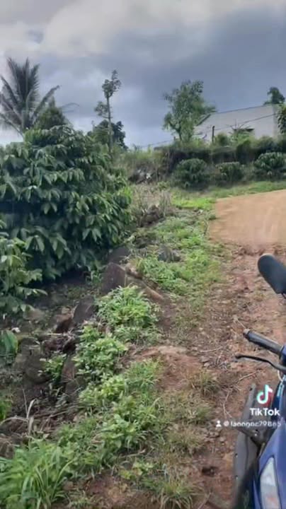 Đất mặt tiền đường bê tông Tân Hà 5.000m² giá 1.45 tỷ - Cơ hội đầu tư tuyệt vời!