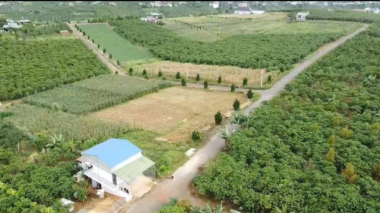 Đất thổ cư Lộc Quảng Bảo Lâm 110m² giá 500 triệu - Cơ hội đầu tư tuyệt vời!