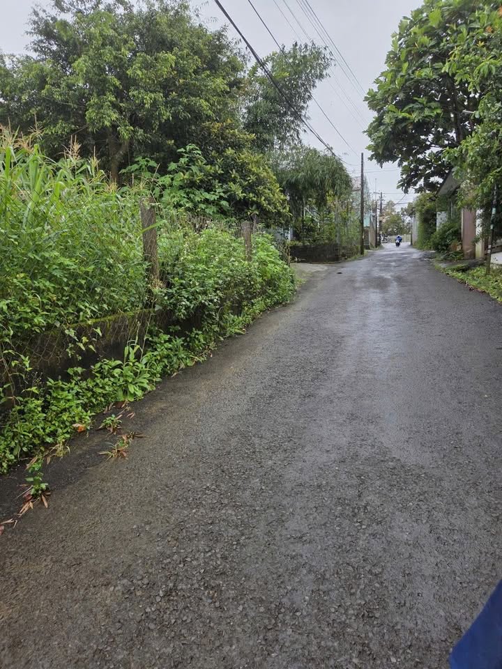 Đất nền Bảo Lộc 225m² giá 3.5 tỷ - Đầu tư sinh lời ngay!