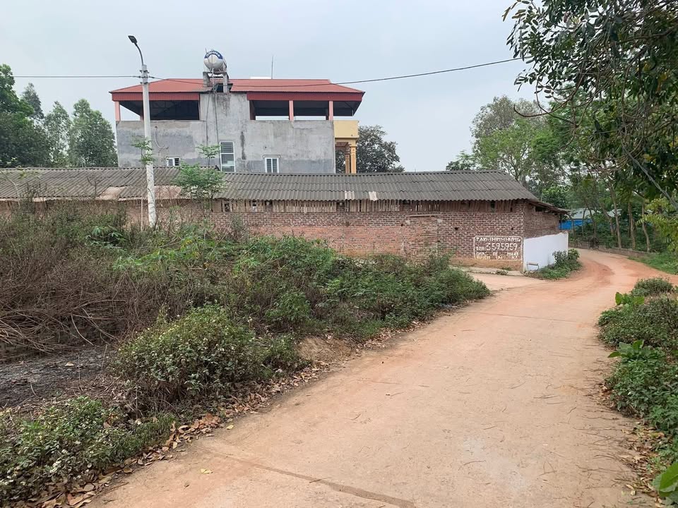 Đất Trục Trình Trại Giềng Thanh Vân 96m² giá 1 tỷ - Đường 2 xe tránh nhau!