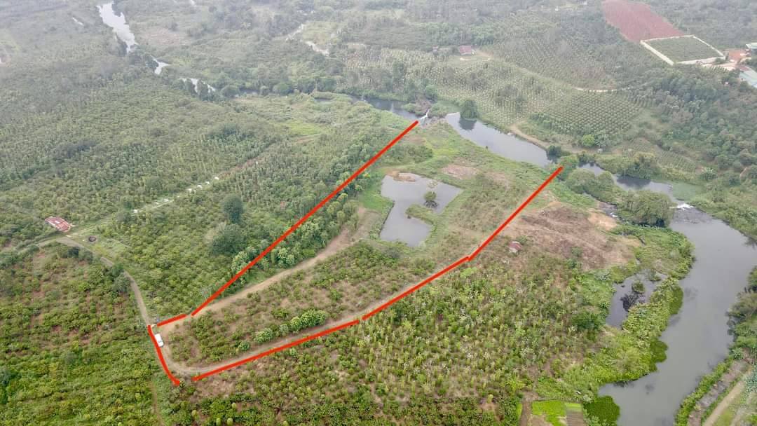 Lô đất Farm 1,7ha tại Đắk Wer, Đắk R'Lấp giá 5.2 tỷ - Tiềm năng phát triển du lịch nghỉ dưỡng!