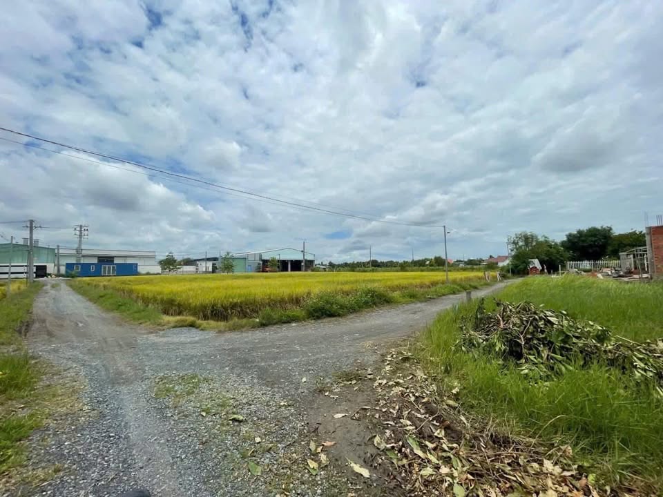 Đất thổ cư 119m² tại Ấp 4, Tân Bửu, Bến Lức - Giá chỉ 1.5 tỷ!