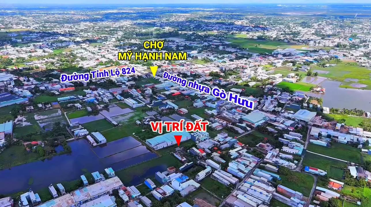 Lô đất 1574m² tại Mỹ Hạnh Nam, Đức Hòa giá 7.3 tỷ - Đầu tư sinh lời ngay!