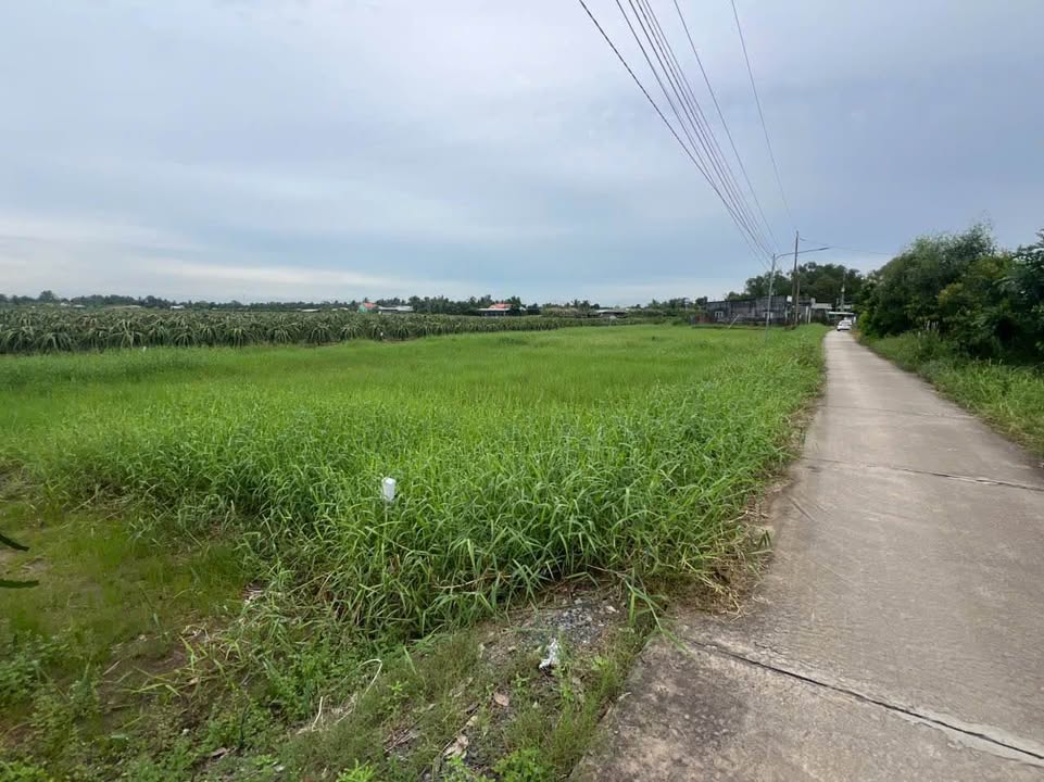 Đất thổ cư 4000m² tại ấp 5, xã Tầm Vu, giá chỉ 3.4 tỷ - Đầu tư sinh lời cao!