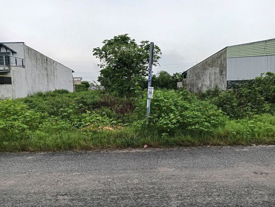 Đất nền đường Nguyễn Văn Dương, Đức Hòa 180m² giá 2.2 tỷ - Cơ hội đầu tư tuyệt vời!