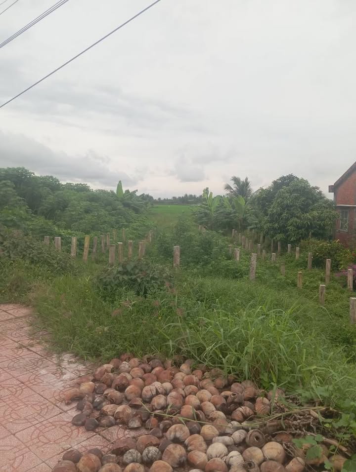 Đất thổ cư Mỹ An, Thủ Thừa, Long An 1000m² giá 10 tỷ - Sổ đỏ chính chủ!