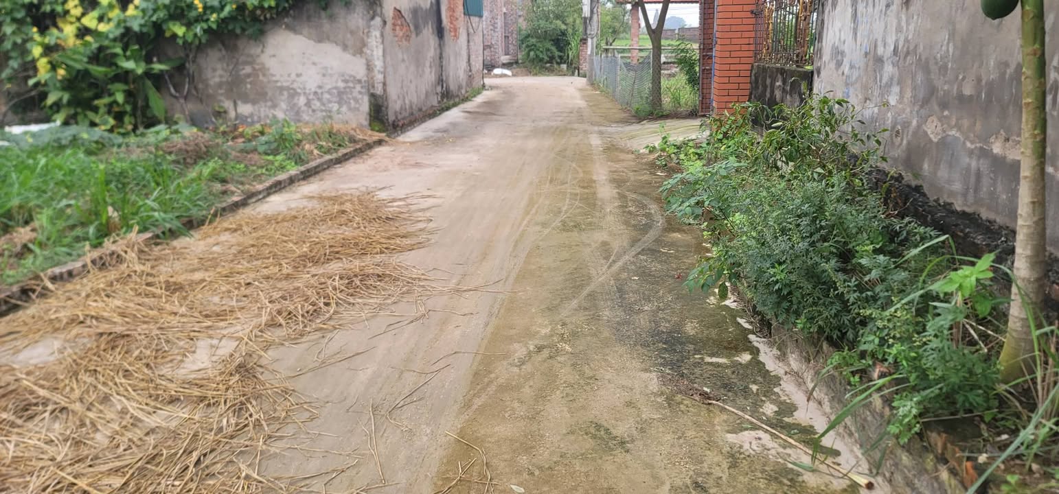 Đất thổ cư Trừng Xá, Lương Tài 113m² giá 1 tỷ - Sổ đỏ chính chủ ngay!