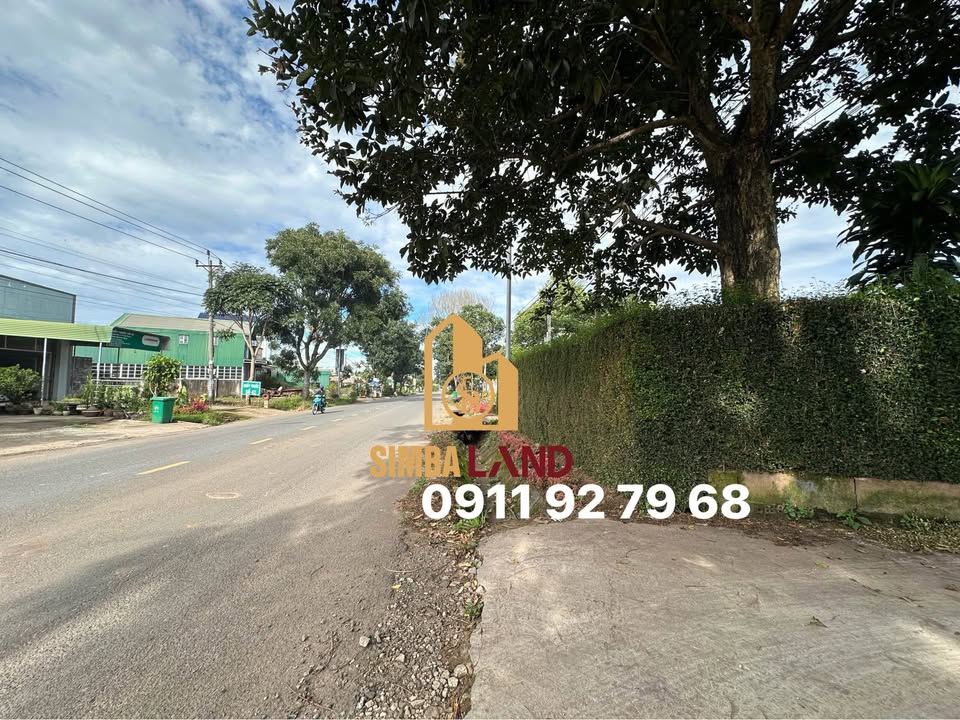 Đất thổ cư Hiệp Thạnh, Đức Trọng 1000m² - Khu dân cư an ninh tốt!