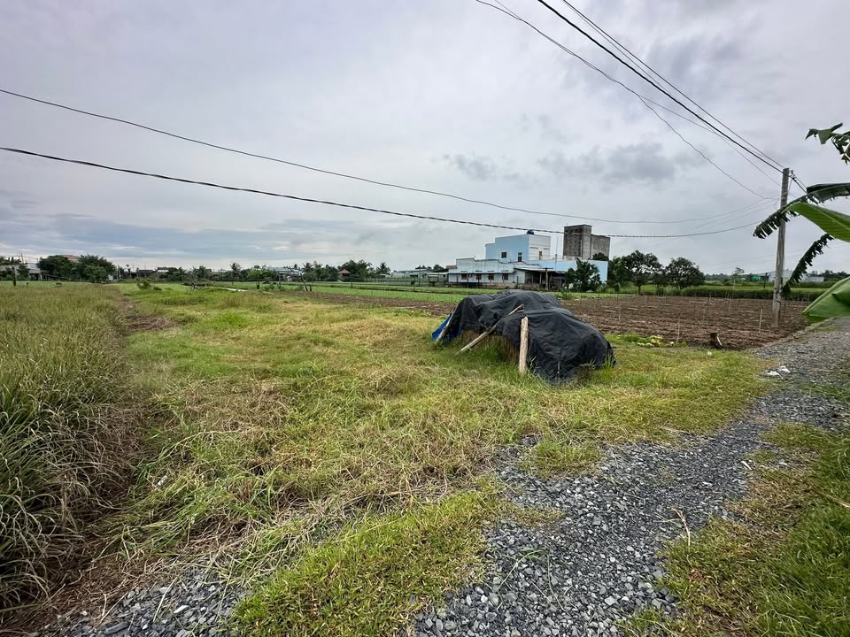 Đất nền Long Bình, Gò Công Tây 277m² giá 395 triệu - Đầu tư sinh lời ngay!