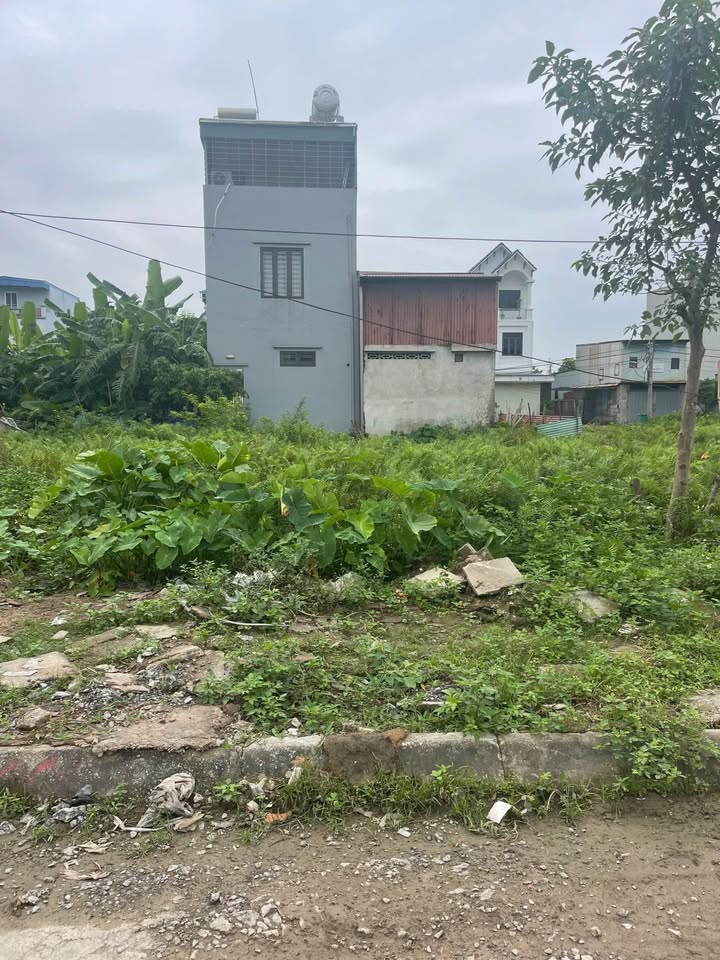 Đất nền vị trí đắc địa tại chung cư Văn Cú, An Hải 100m² - Giá tốt thỏa thuận!