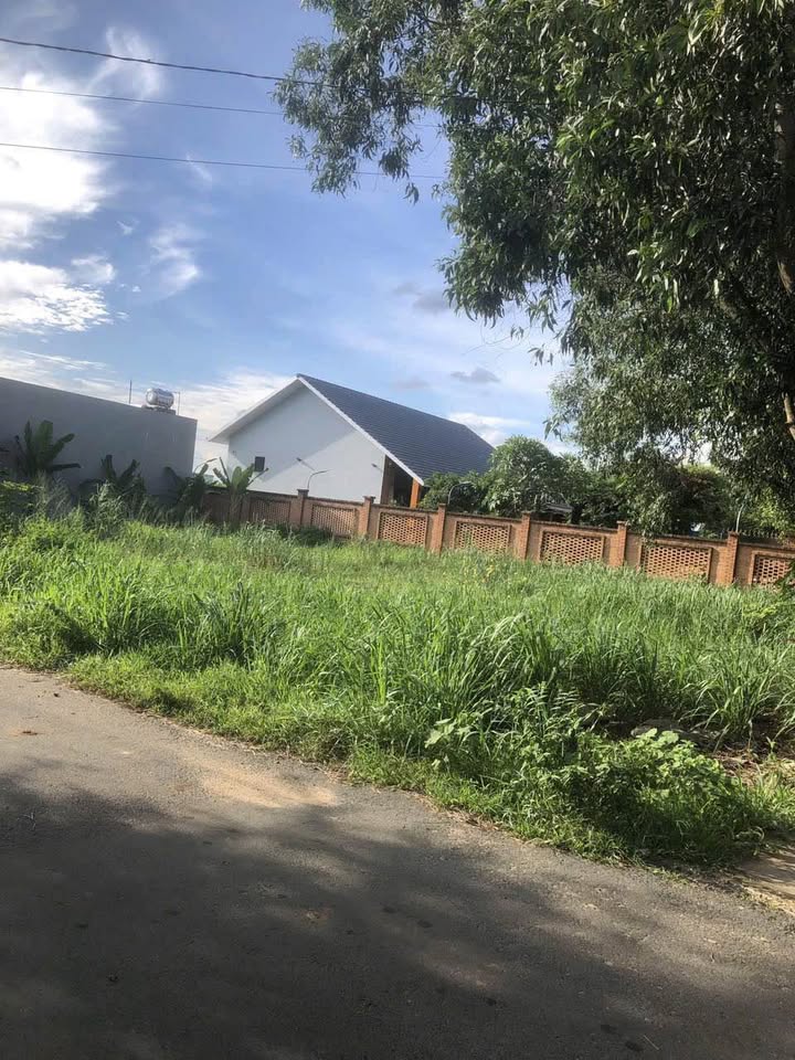 Đất nền Hòa Long, Bà Rịa - 139m² chỉ 2.15 tỷ - Cơ hội đầu tư hấp dẫn!