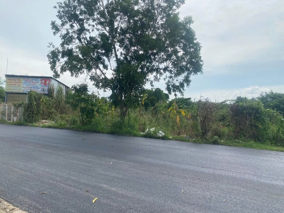 Đất lúa 500m² KDC Cửu Long, Bình Thủy, Cần Thơ - Tiềm năng sinh lời cao!