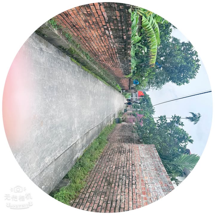 Đất Nền Tại Thôn Chè Ninh Xá, Từ Sơn - Diện tích 50m², Giá chỉ 1.15 tỷ!