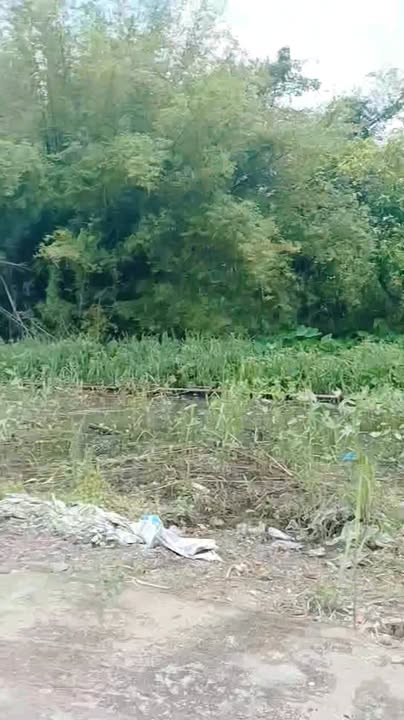 Đất nền mặt tiền Rạch Cái Tắc, Bình Thủy 41m² giá 850 triệu - Đầu tư sinh lời lâu dài!