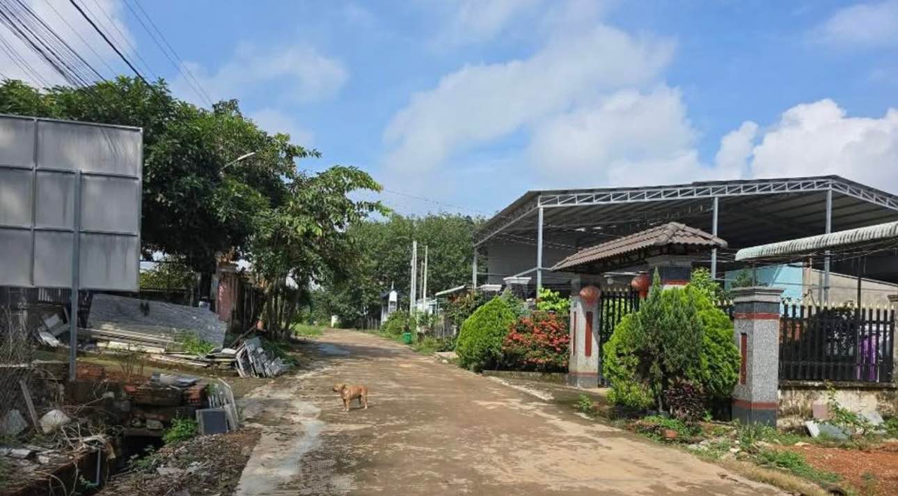 Đất nền Tân Xuân, Phường Bình Phước, 195m² - Đầu tư sinh lời ngay!