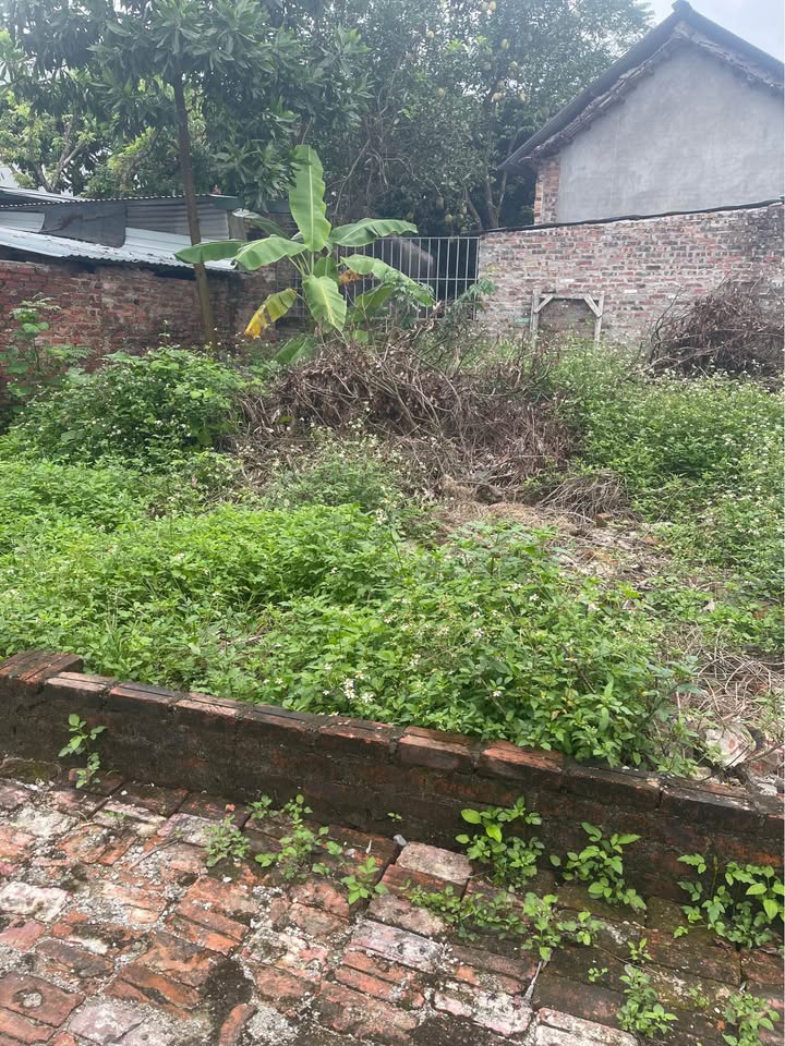 Nhà bán Vệ Linh - Sóc Sơn 80m² giá nhỉnh 2 tỷ - Mặt tiền 8m thoáng đẹp!