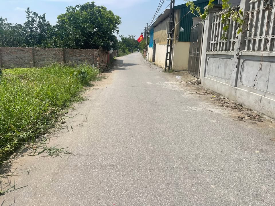 Bán đất mặt tiền chính phường Song Liễu 200m² - Tiềm năng đầu tư vượt trội!