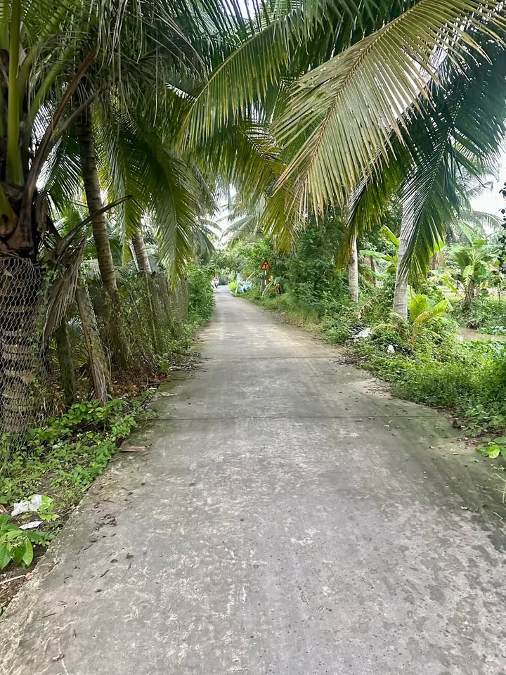 Đất nền Dưỡng Điềm, Châu Thành 1469m² giá 2 tỷ - Đường ô tô rộng rãi!