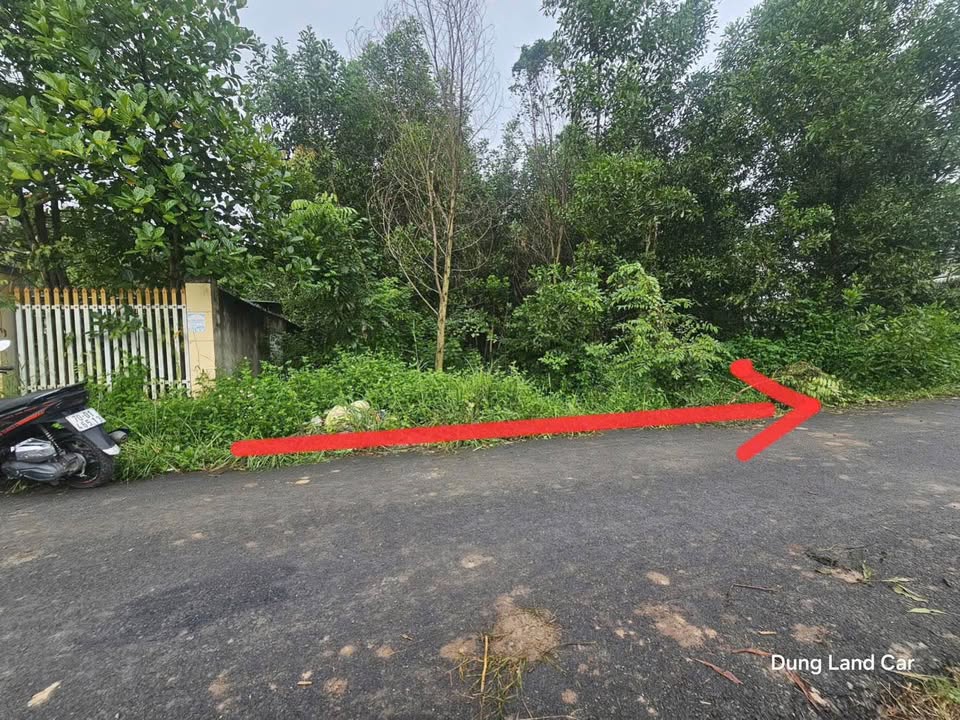 Bán đất mặt tiền đường nhựa Chợ Thanh Hòa 965.2m² giá 9.57 tỷ - Vị trí đẹp, tiềm năng phát triển!